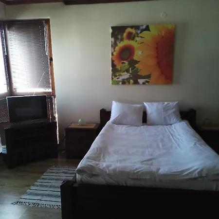 Private In St.ivan And * 班斯科