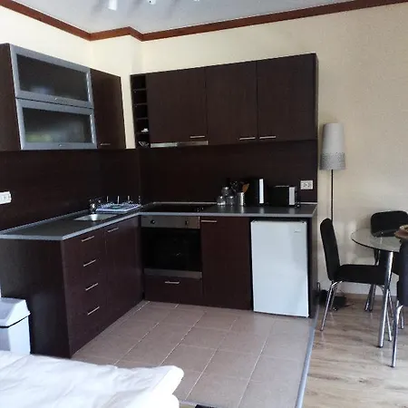 Private In St.ivan And 公寓 班斯科