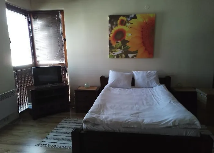 Private In St.ivan And * Banszko